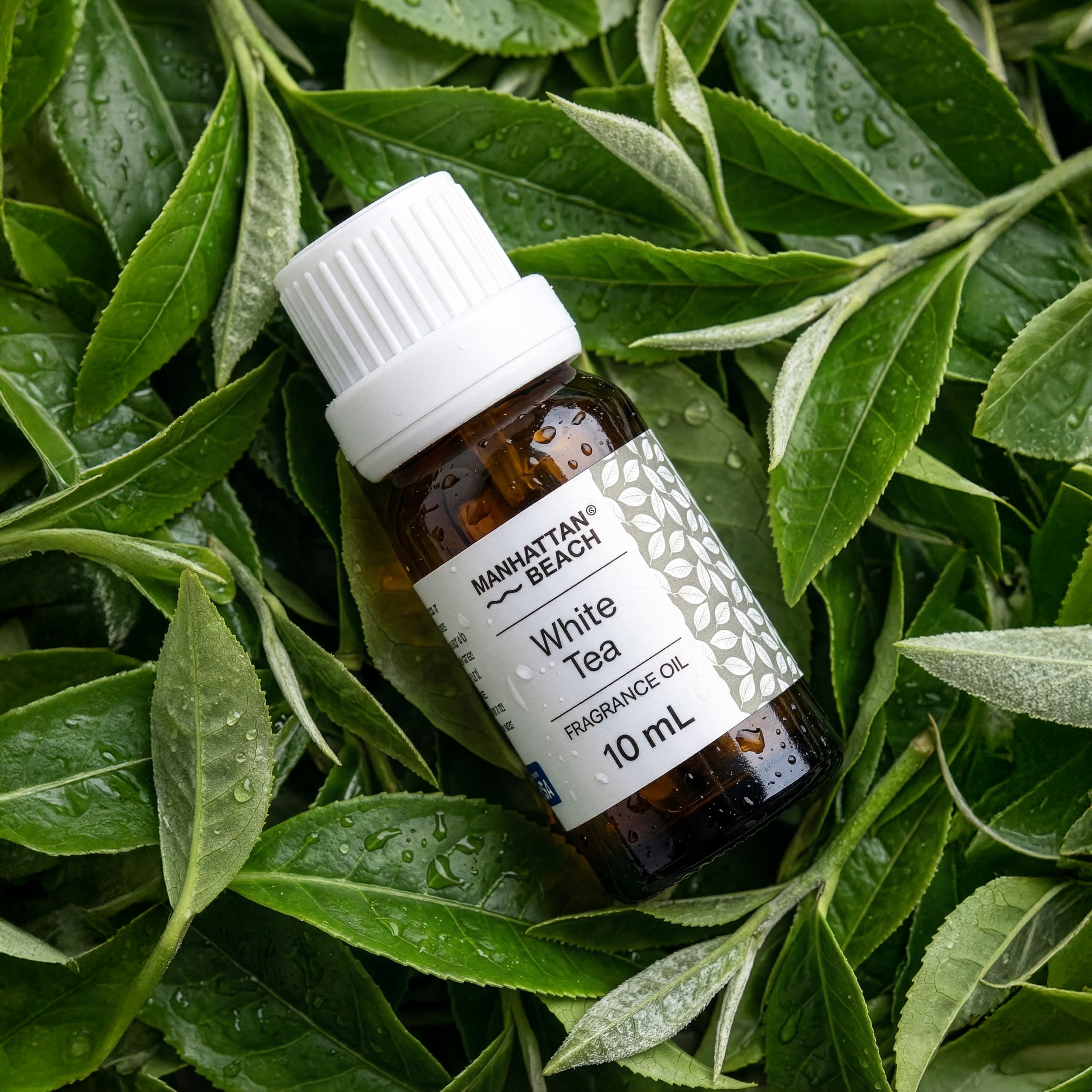 Manhattan Beach® White Tea – The Westin® Hotel White Tea Scent Inspired Diffuser Oil
