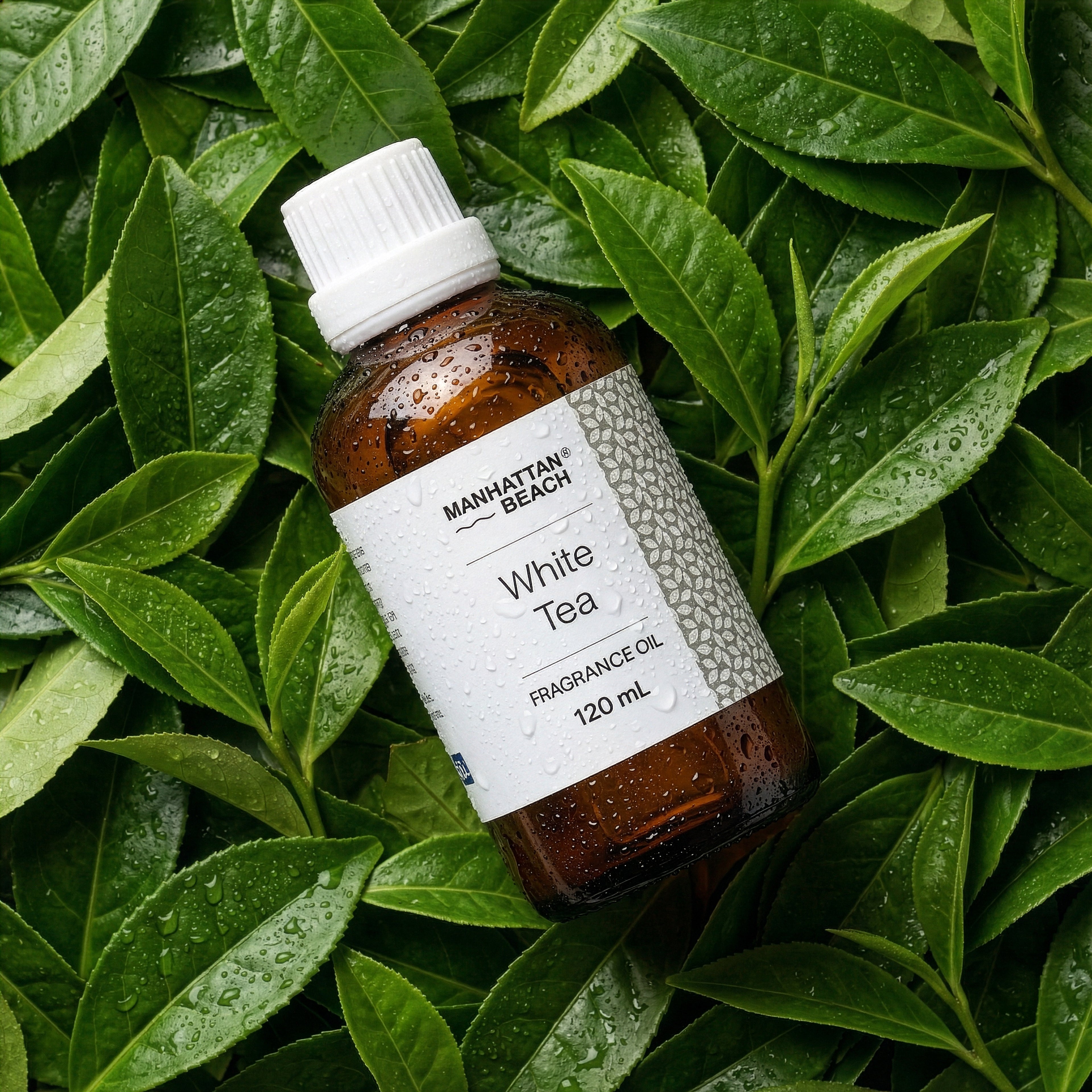 Manhattan Beach® White Tea – The Westin® Hotel White Tea Scent Inspired Diffuser Oil